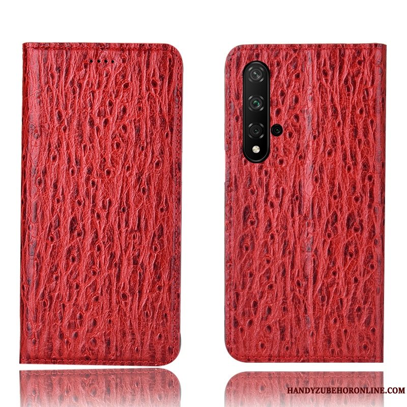 Etui Huawei Nova 5t Tasker Cyan Telefon, Cover Huawei Nova 5t Beskyttelse Fugl