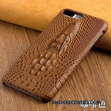 Etui Redmi Note 5 Læder Dragon Lille Sektion, Cover Redmi Note 5 Vintage Rød Hård