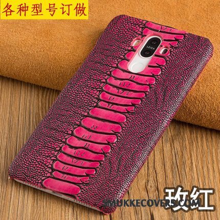 Etui Samsung Galaxy A8+ Beskyttelse Lyse Hård, Cover Samsung Galaxy A8+ Vintage Telefonbusiness