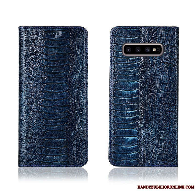 Etui Samsung Galaxy S10 Beskyttelse Ny Anti-fald, Cover Samsung Galaxy S10 Blød Telefonfugl