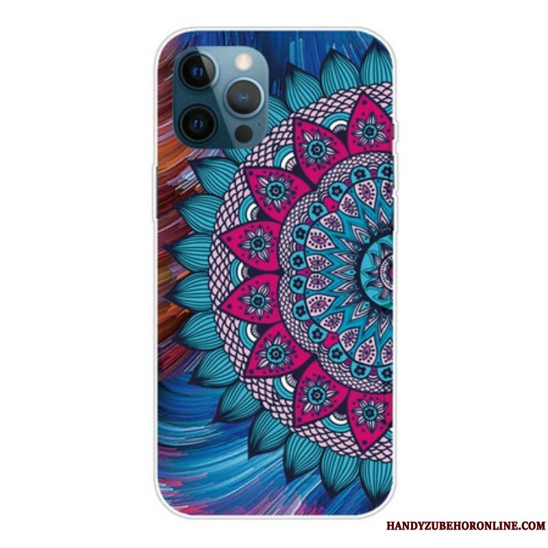 Cover iPhone 13 Pro Max Farverig Mandala