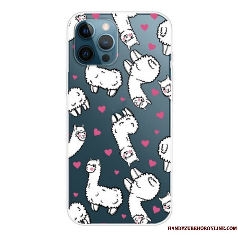 Cover iPhone 13 Pro Top Lamaer