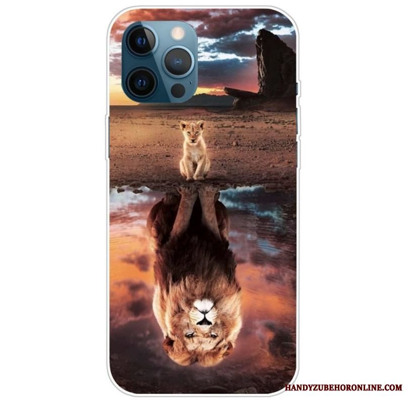 Cover iPhone 14 Pro Kattedyr