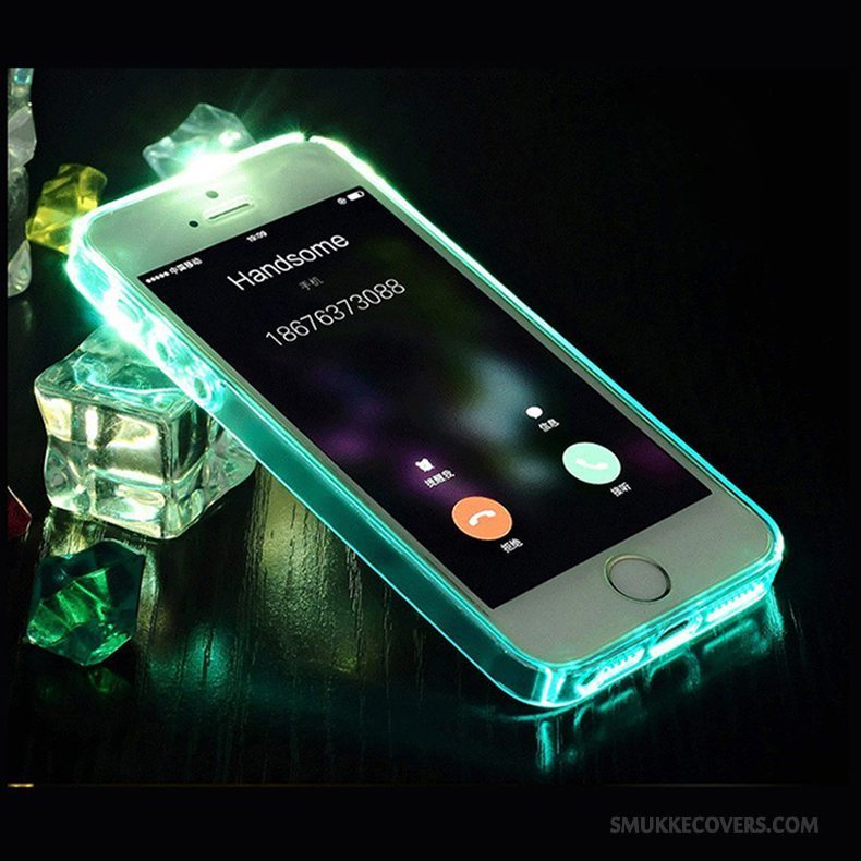 Etui iPhone 5/5s Kreativ Gennemsigtig Telefon, Cover iPhone 5/5s Beskyttelse Grøn
