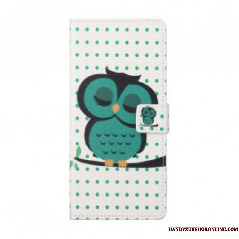 Flip Cover Xiaomi Redmi Note 10 Pro Sovende Ugle