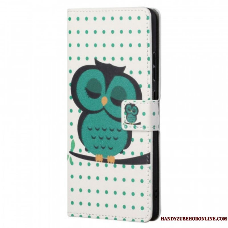 Flip Cover Xiaomi Redmi Note 11 / 11S Sovende Ugle